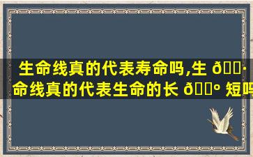生命线真的代表寿命吗,生 🌷 命线真的代表生命的长 🐺 短吗
